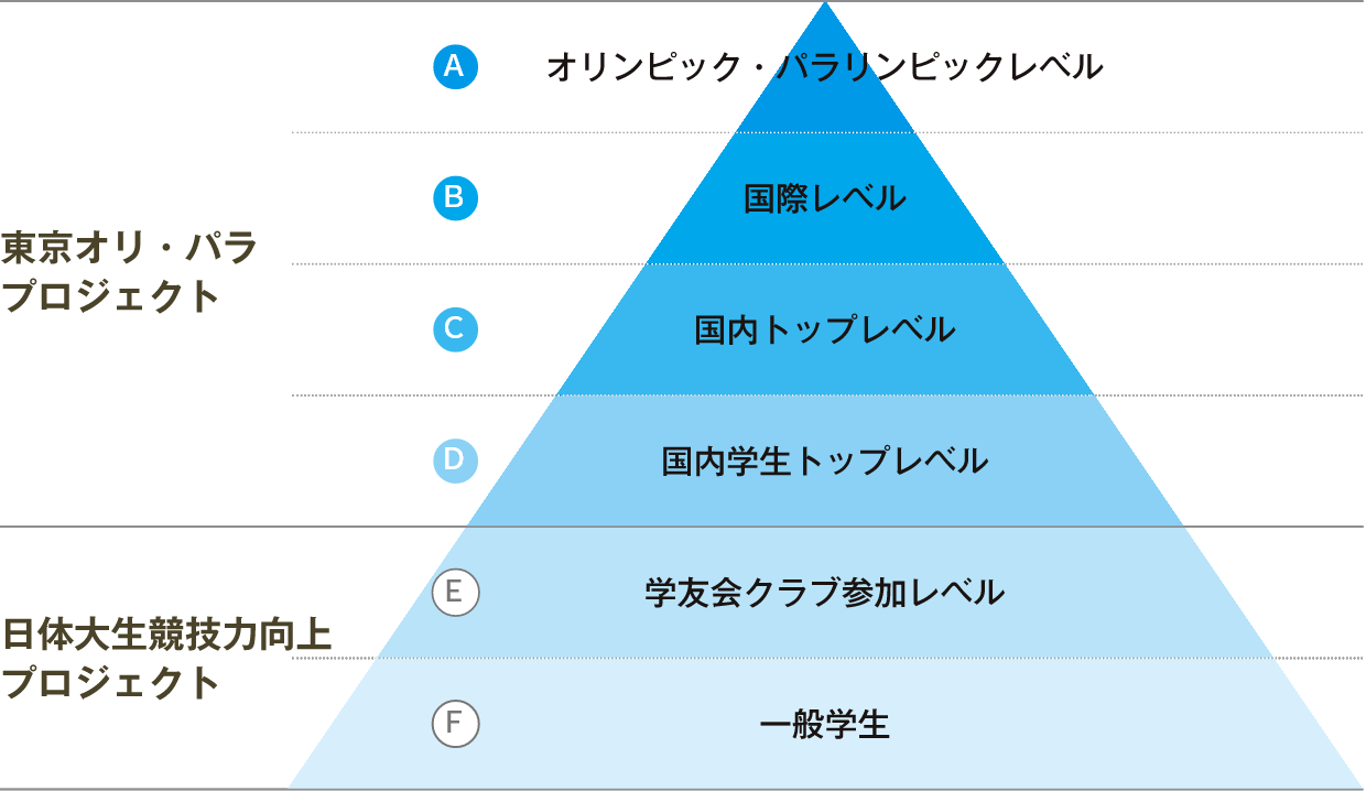 NASS図２