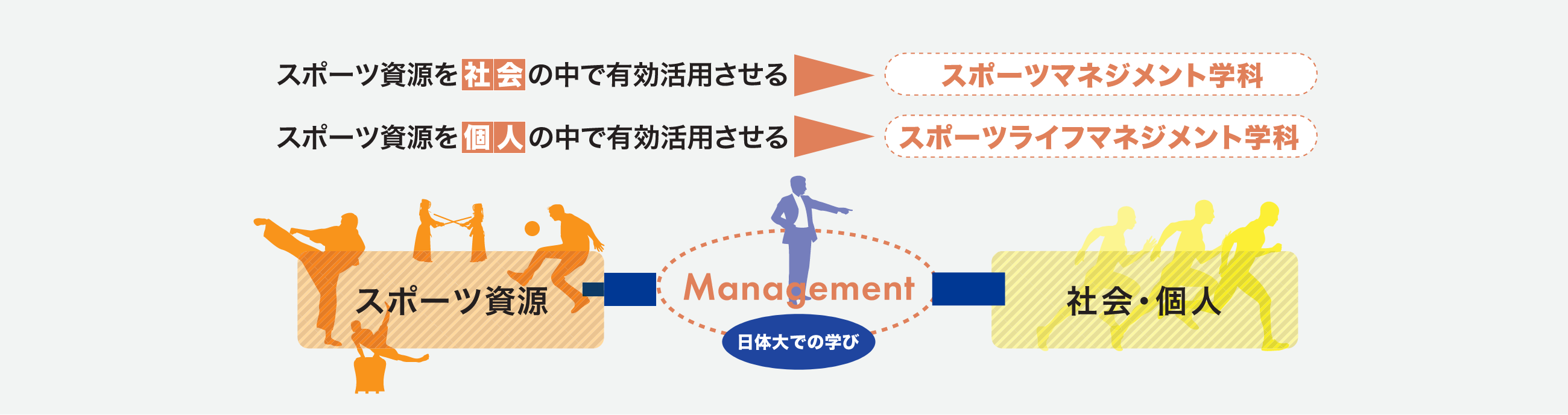 スポーツマネジメント学科とスポーツライフマネジメント学科