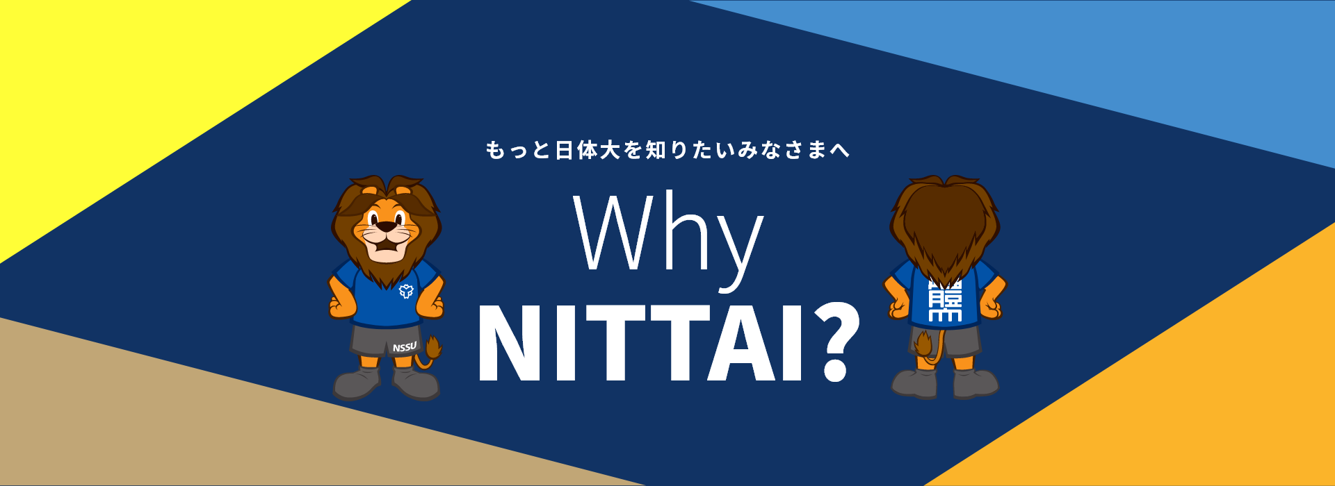Why NITTAI