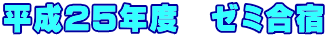 平成25年度　ゼミ合宿 
