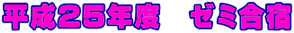 平成25年度　ゼミ合宿 
