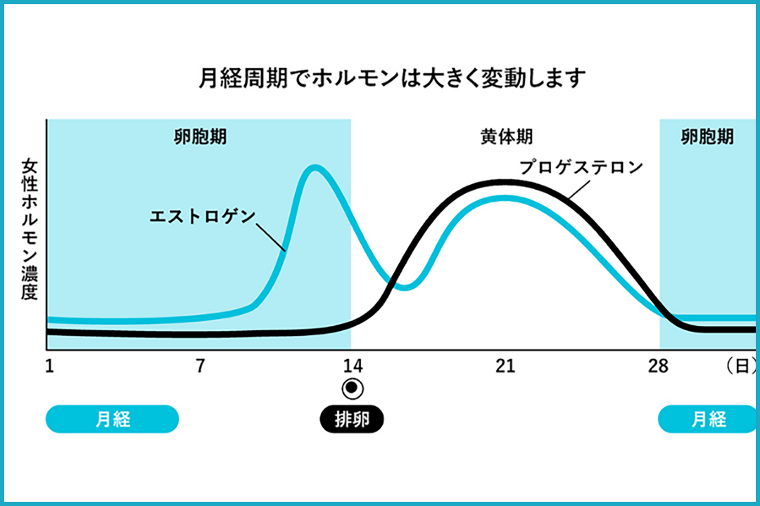 月経 