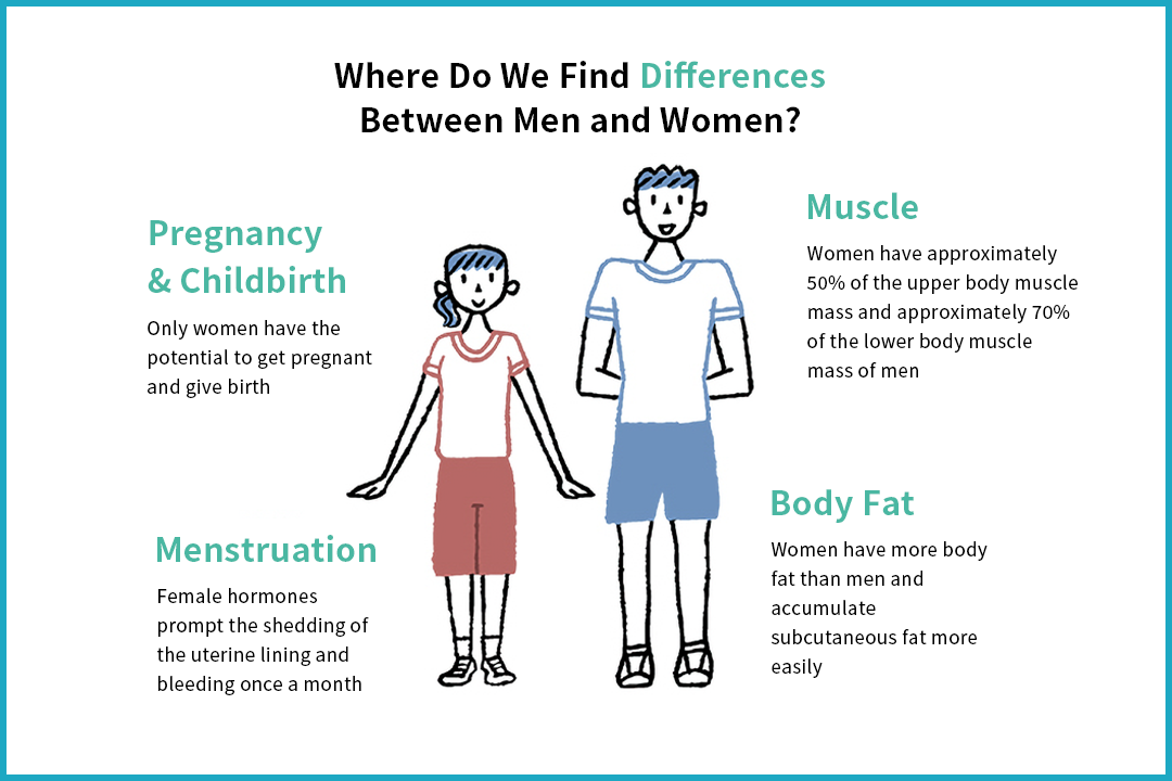 Difference Between Men And Women Body Difference Between Men And Women Body